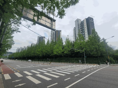물건 사진 12