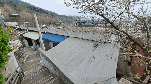 물건 사진 18