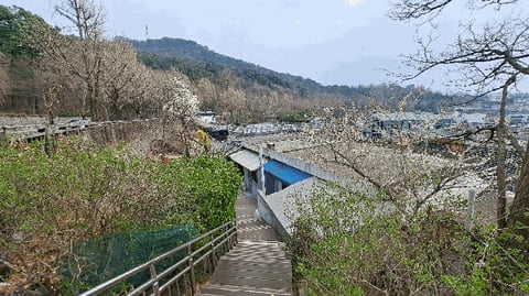 물건 사진 20