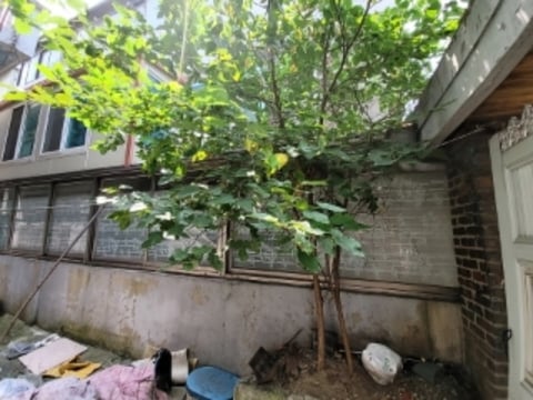 물건 사진 45