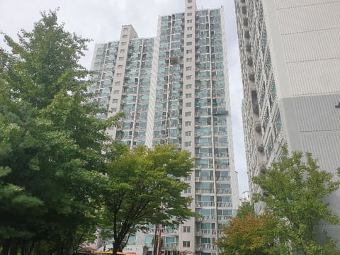 물건 사진 7