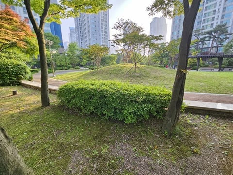 물건 사진 19