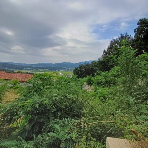 물건 사진 18