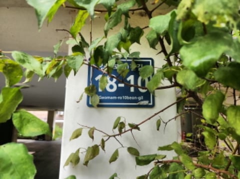 물건 사진 1