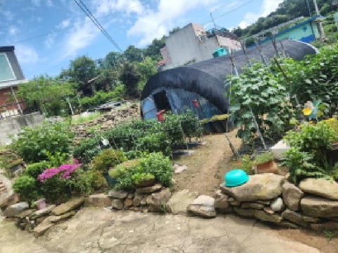 물건 사진 6