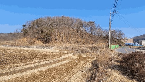 물건 사진 11