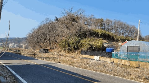 물건 사진 12