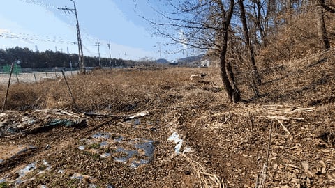 물건 사진 14