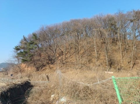 물건 사진 3