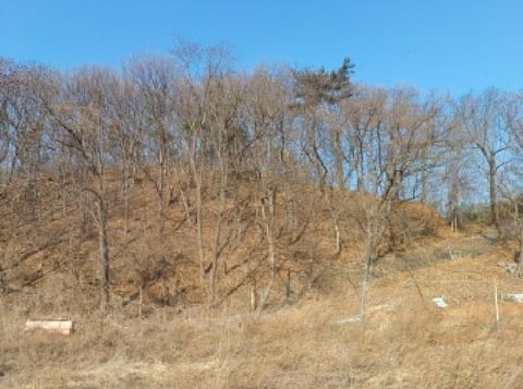 물건 사진 4