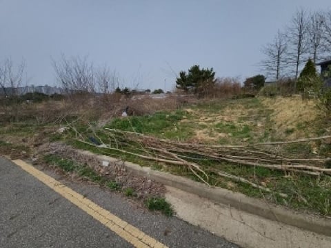 물건 사진 1