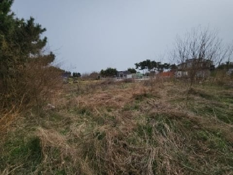 물건 사진 4