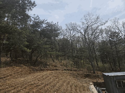 물건 사진 28