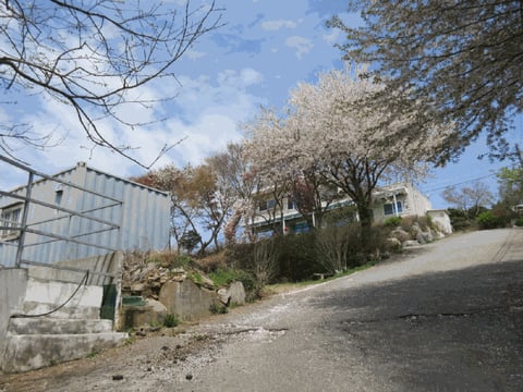 물건 사진 25