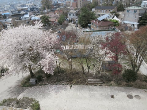 물건 사진 27