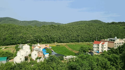 물건 사진 25