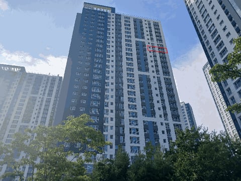 물건 사진 11