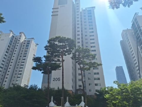 물건 사진 2