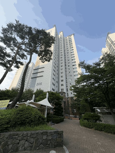 물건 사진 5
