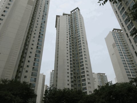 물건 사진 10