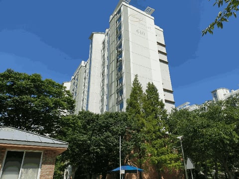 물건 사진 9