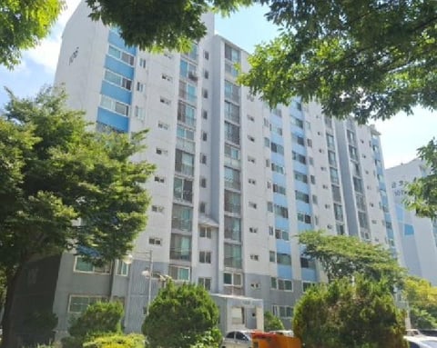 물건 사진 3