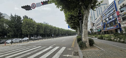 물건 사진 10