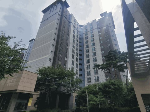 물건 사진 11