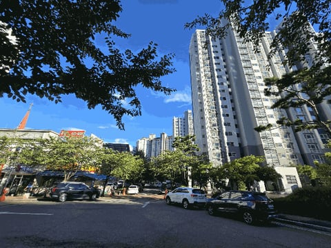물건 사진 12