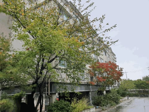 물건 사진 11