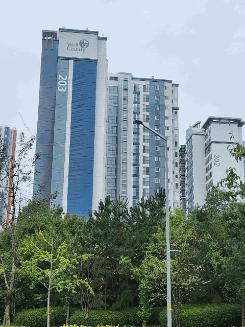 물건 사진 7