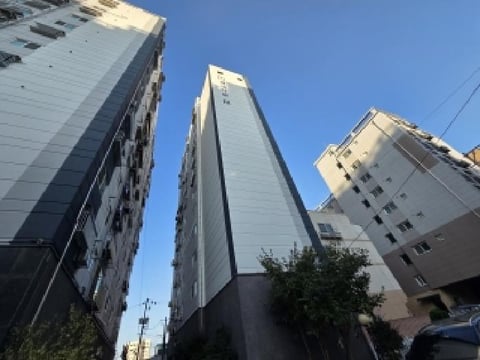물건 사진 1