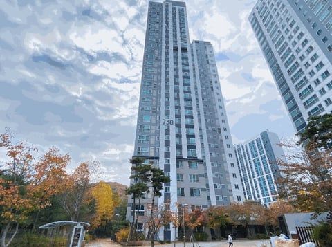 물건 사진 5