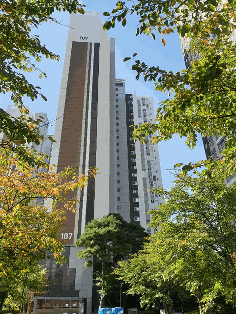 물건 사진 11