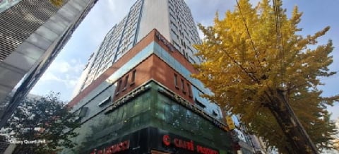물건 사진 1