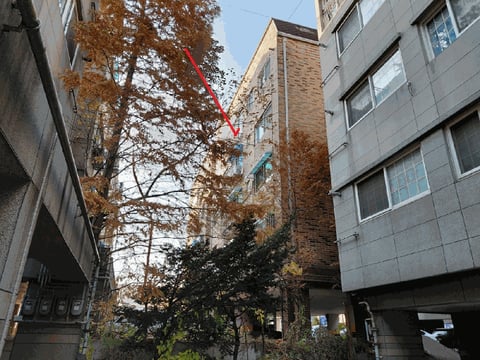 물건 사진 10