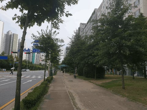 물건 사진 13