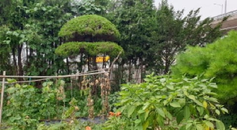 물건 사진 8