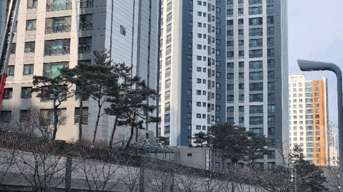 물건 사진 10