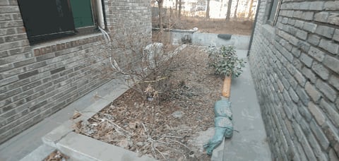 물건 사진 25