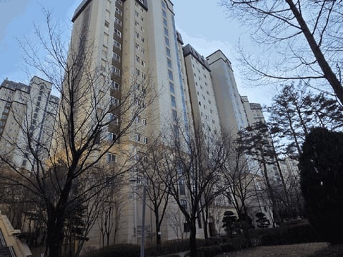 물건 사진 10