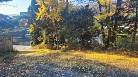 물건 사진 16