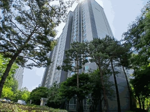 물건 사진 6