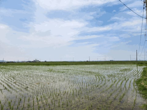 물건 사진 12
