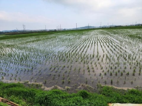 물건 사진 6