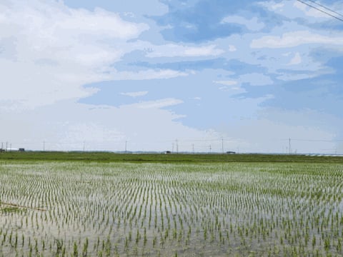 물건 사진 9