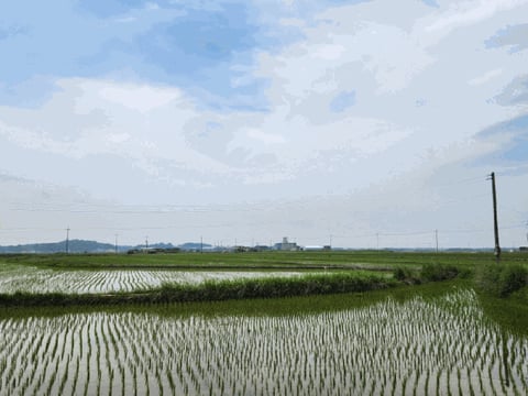 물건 사진 10