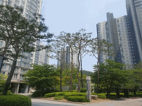 물건 사진 6