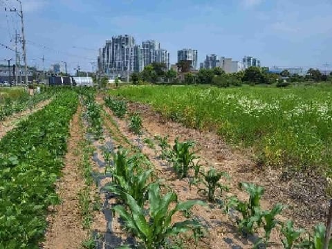 물건 사진 3
