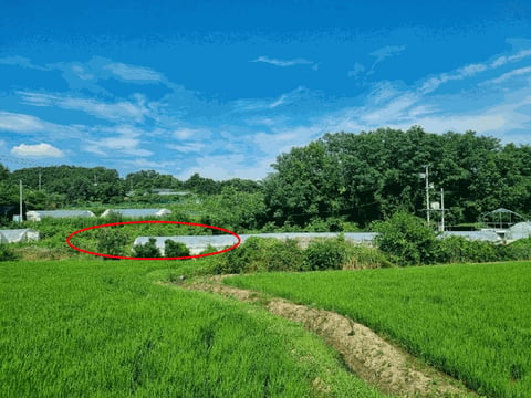 물건 사진 12